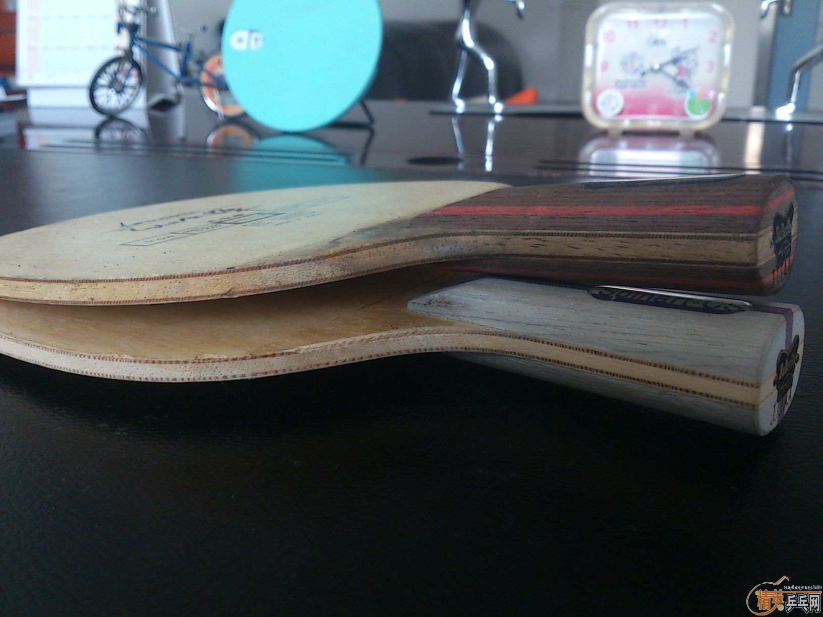 [ת��]�����2ֻ������������