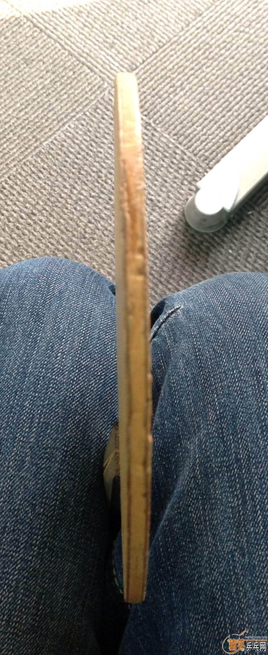 �հ���̼ 310������