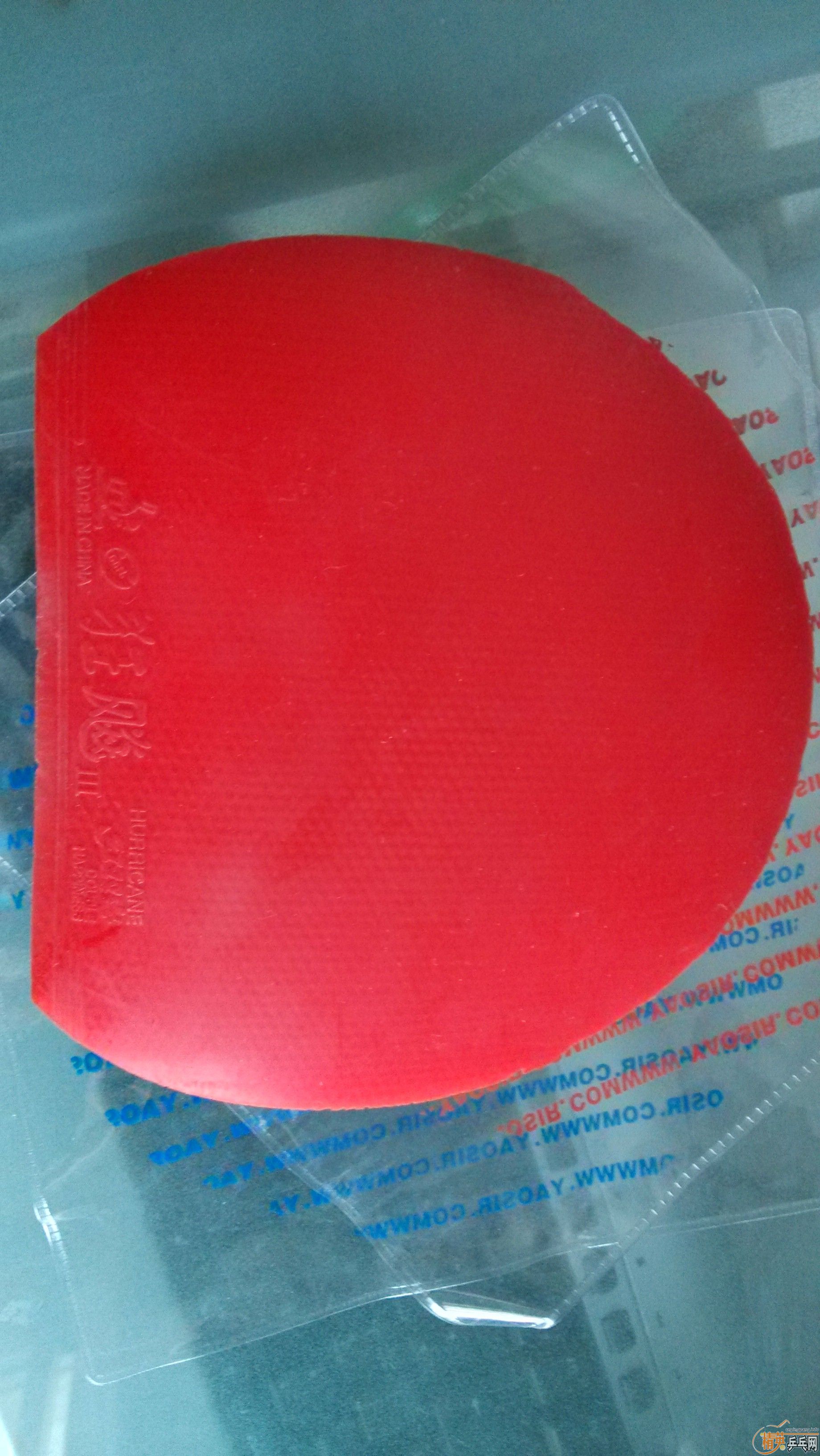 ����ʡ�񡢻����룬��֤�ͼۣ�Ҫ��ߵľͱ������