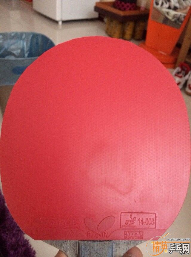 T64����ɫ��1.9MM������ֱ���棬֧�������ס�