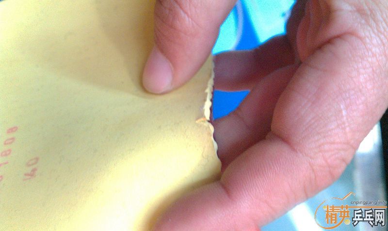 [ע��]9�����Ϻ�ɫŷ����2ŷ��95����