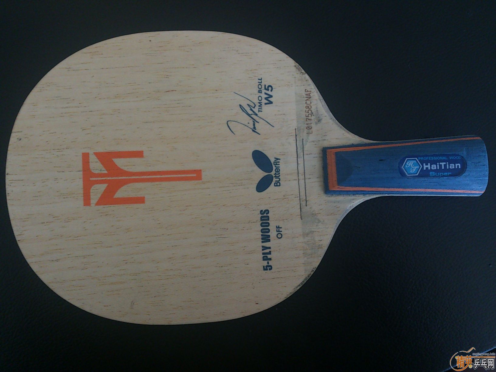 [����][�Ƽ�]����ϸ�ֱ��ĺ�������W5������in-ALC