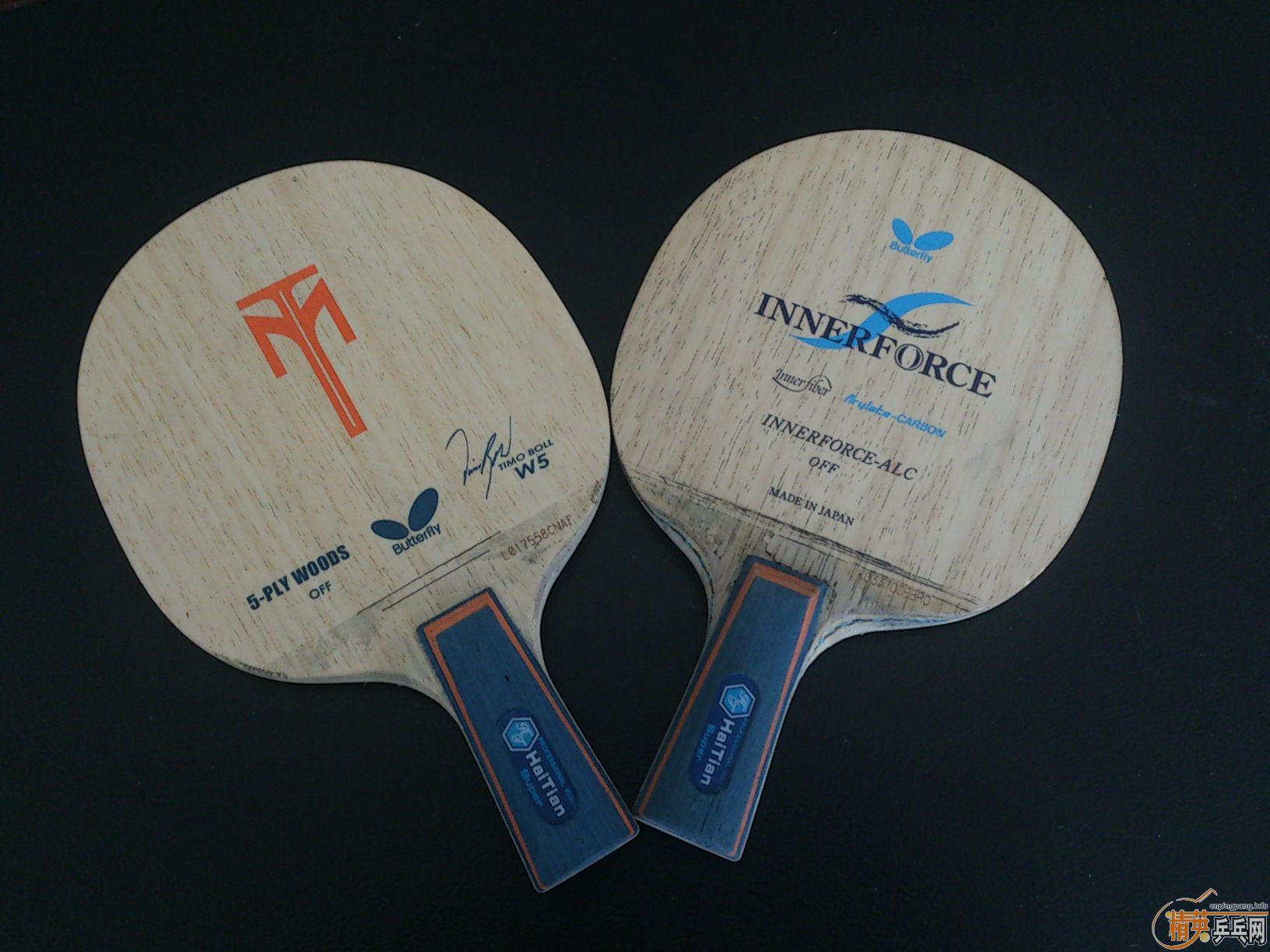 [����][�Ƽ�]����ϸ�ֱ��ĺ�������W5������in-ALC