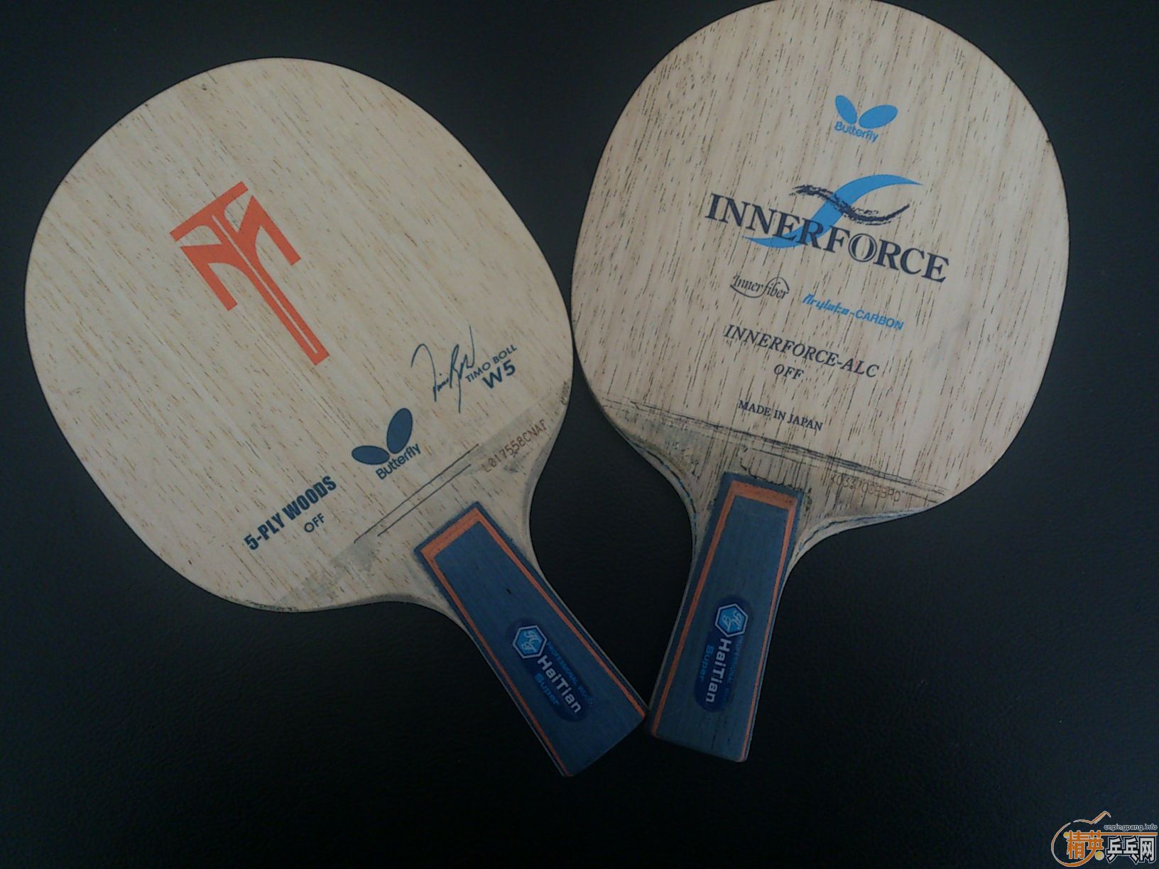 [����][�Ƽ�]����ϸ�ֱ��ĺ�������W5������in-ALC