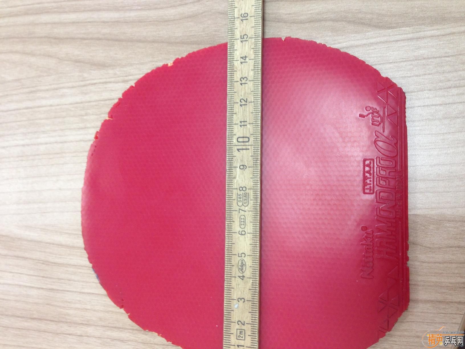 ��ɫ�ɵĹ��ε�-50����