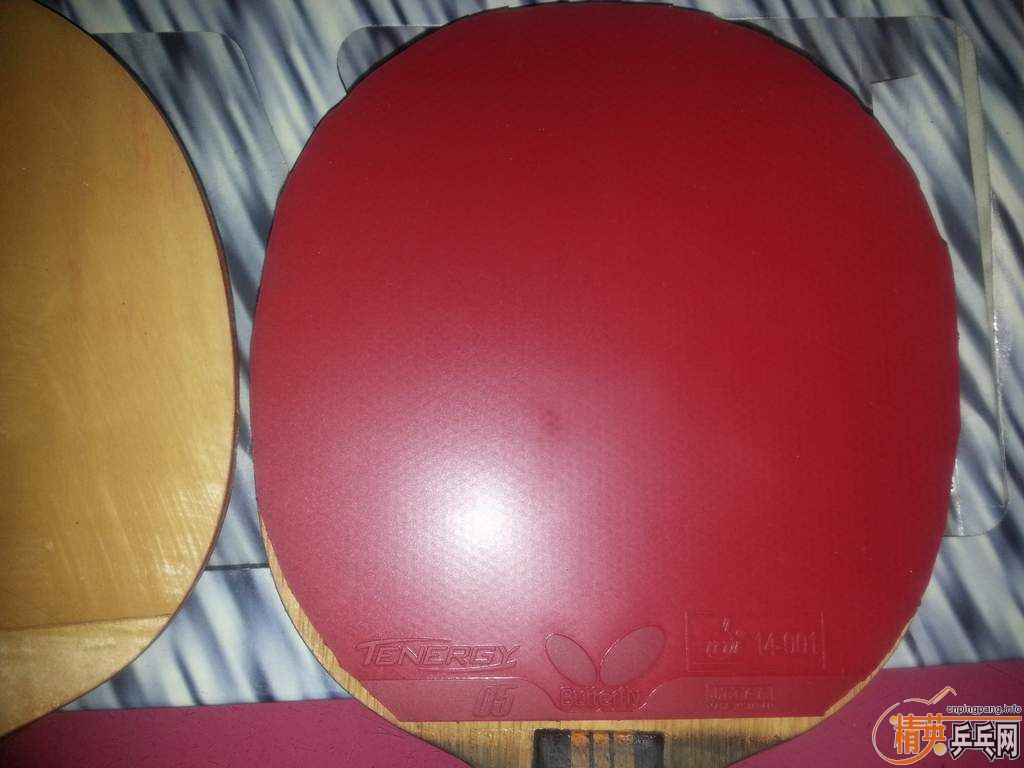 һ���ɫ�����ĺ�ɫT05