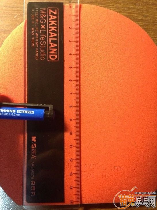 @@@@@@250���ʣ�9.5�� T25 ��ɫ 2.1+9��S1@@@@@@