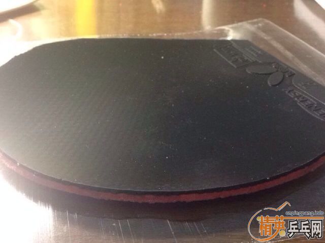 @@@@@@250���ʣ�9.5�� T25 ��ɫ 2.1+9��S1@@@@@@