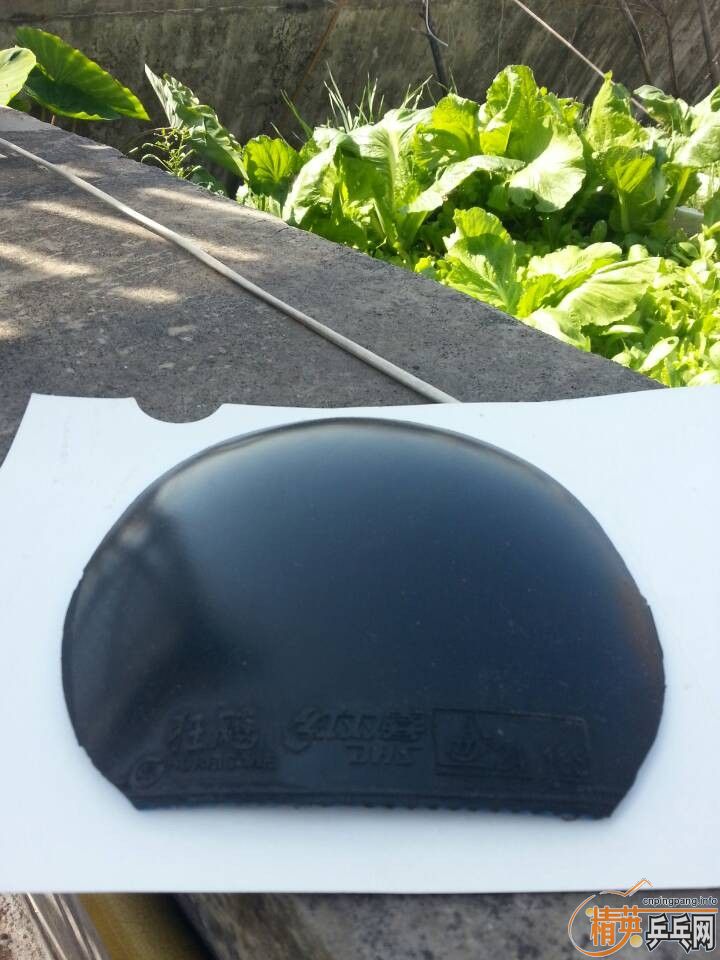 ====����������ʡ��====