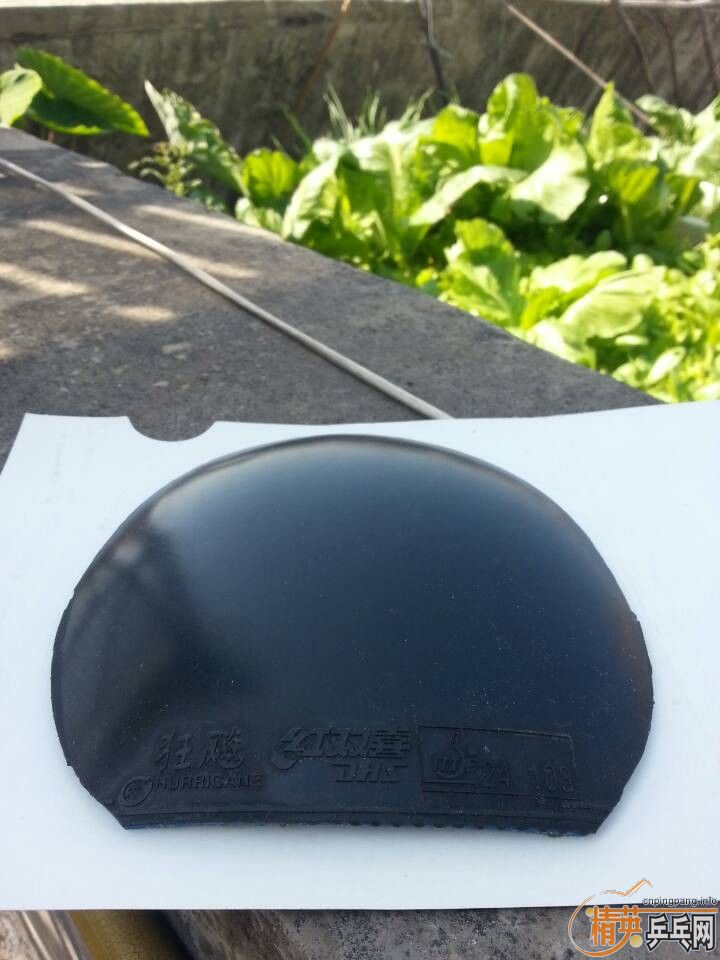 ====����������ʡ��====