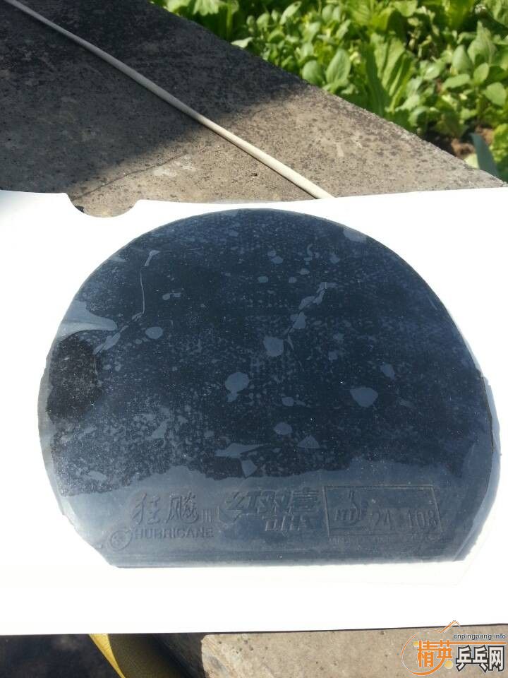 ====����������ʡ��====