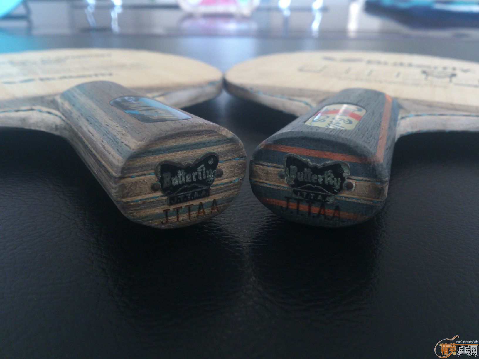 [ԭ��][�Ƽ�]2ֻ���������������������������