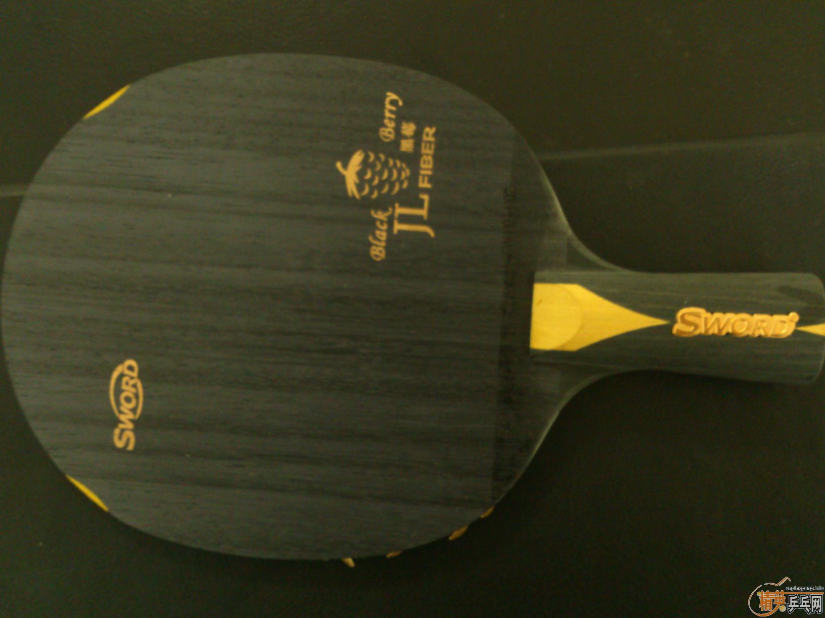 [����][����]��ݮһֻ��������