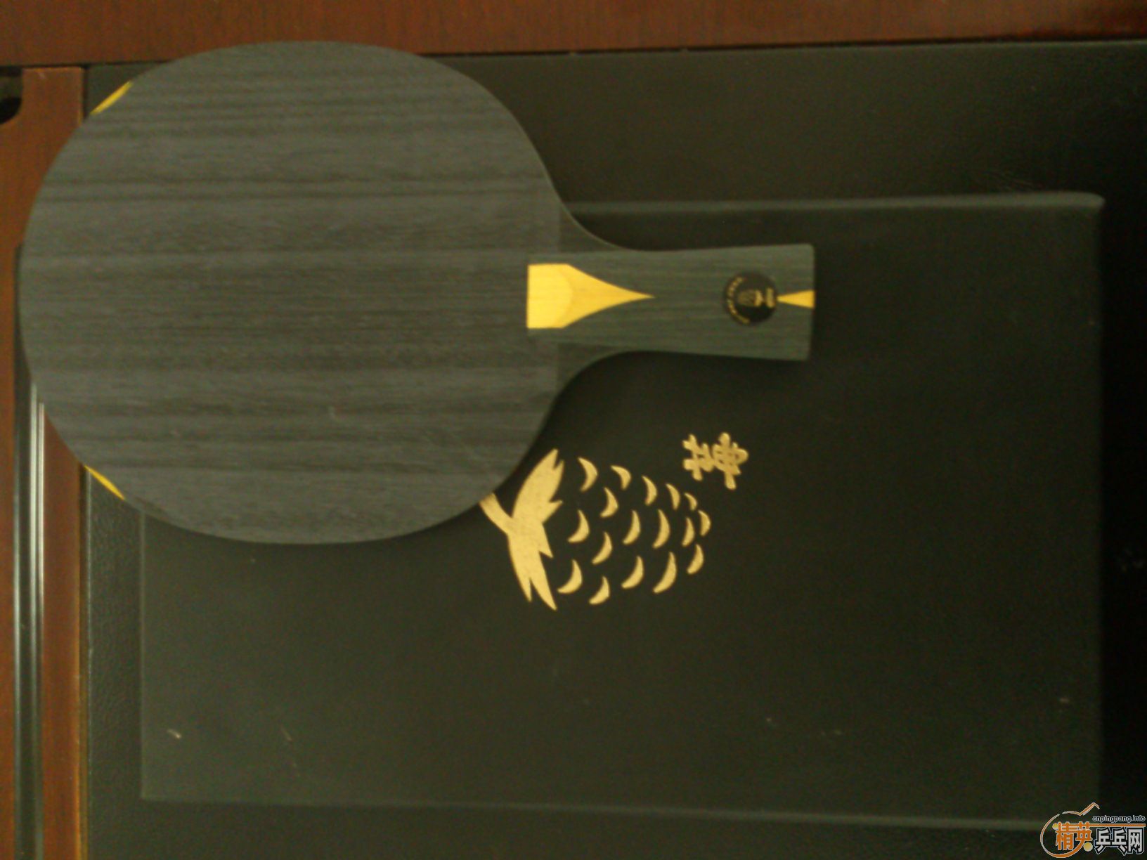 [����][����]��ݮһֻ��������