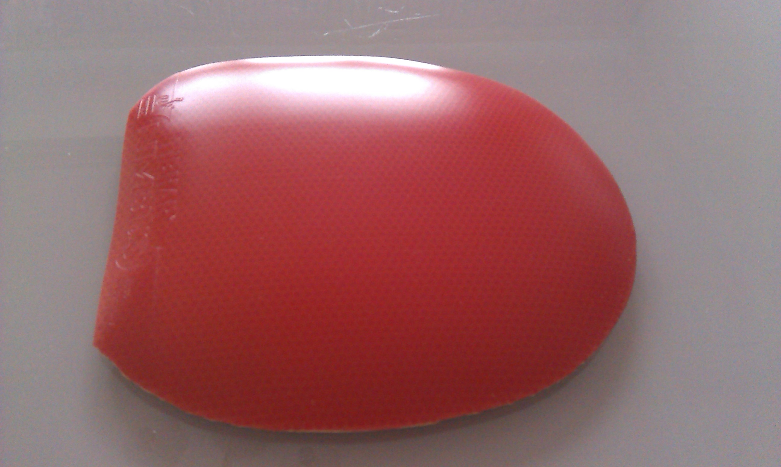 ����������һ����µ�ͦ��������������