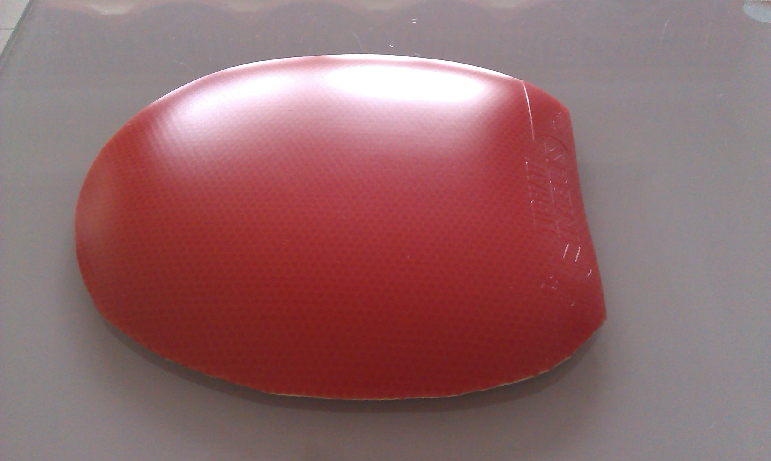 ����������һ����µ�ͦ��������������