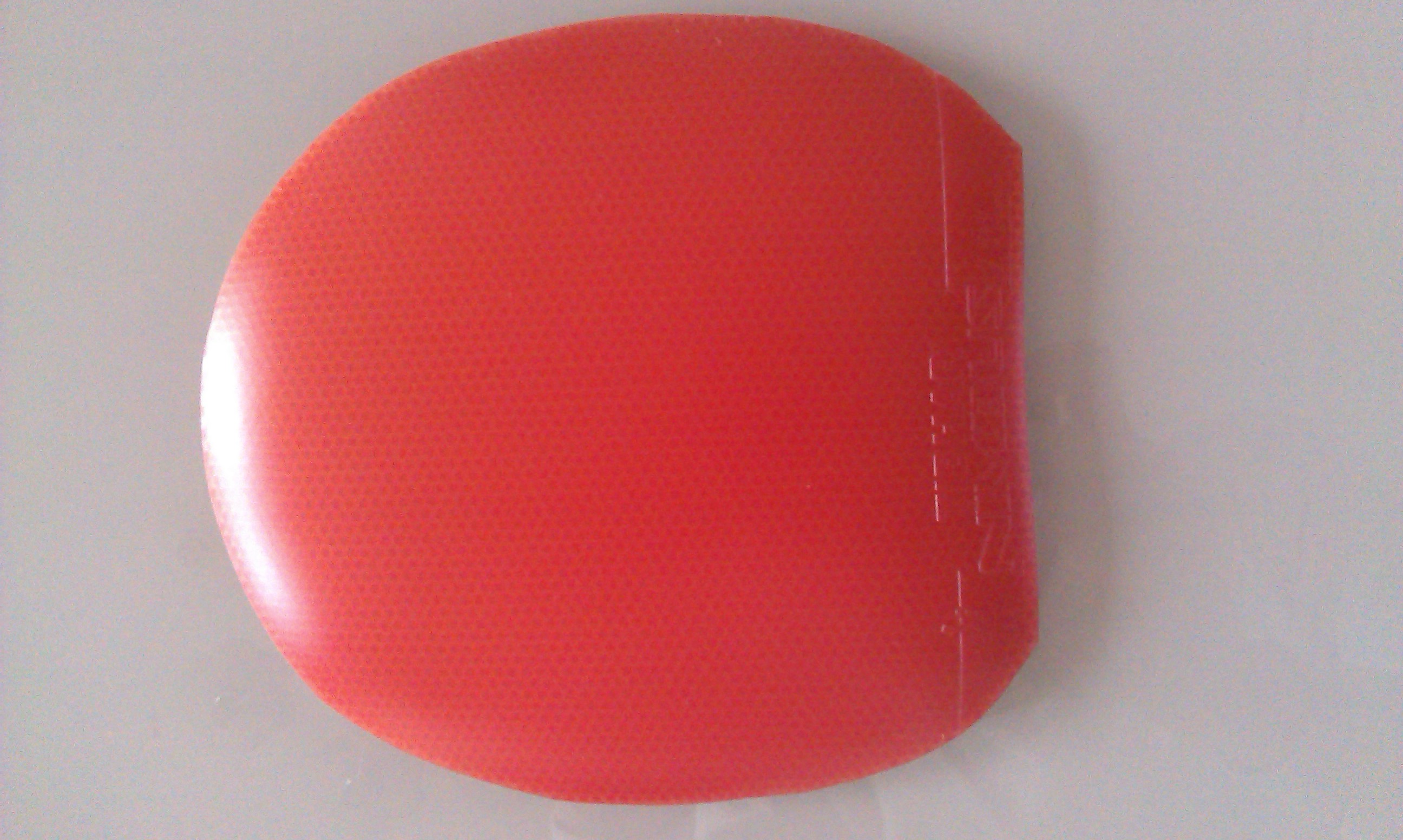 ����������һ����µ�ͦ��������������