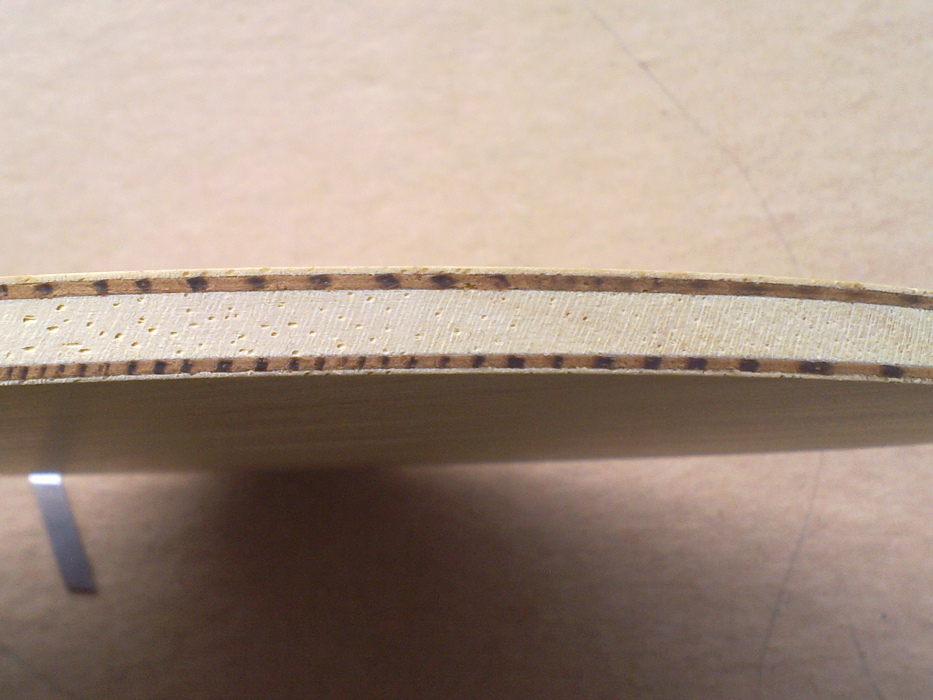 FL ���л� VPS 91.�� ���޿��������飬450���ʣ�