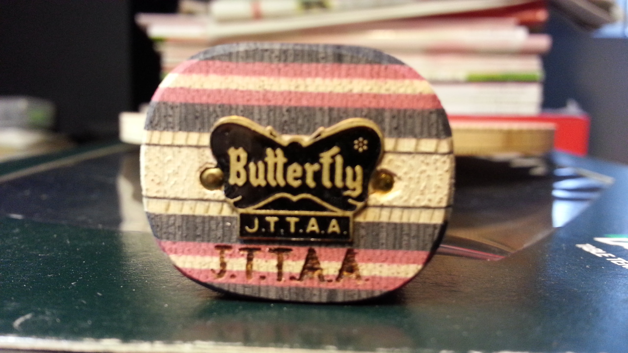 ��������ʩ̼ST��˹�ٿ�STIGA CRW