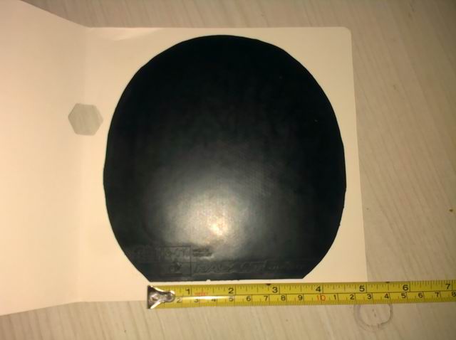 ����ɷ 100��˳�� ������