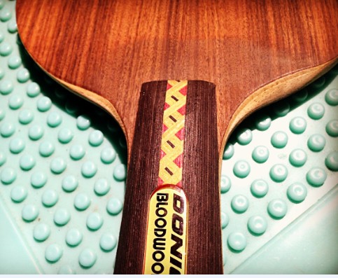 ����ZLC ����2��656�� Ѫľ5