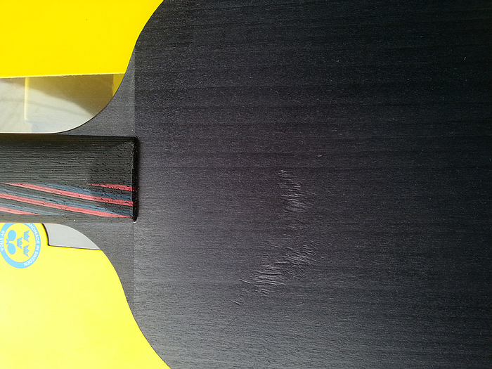 ��9��ŷ������̼��9.8����85�ˣ��ʺ�ֱ�ĺ��