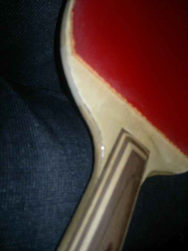 ��ͷ���ţ������µ�����ʵ��壨���ֺ�ɫ��������������ֺ�ɫ���ᣩ�����µ����״�ľʵ��塣