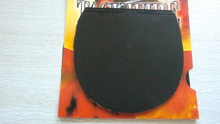 9�� ���������ֺ����׽�