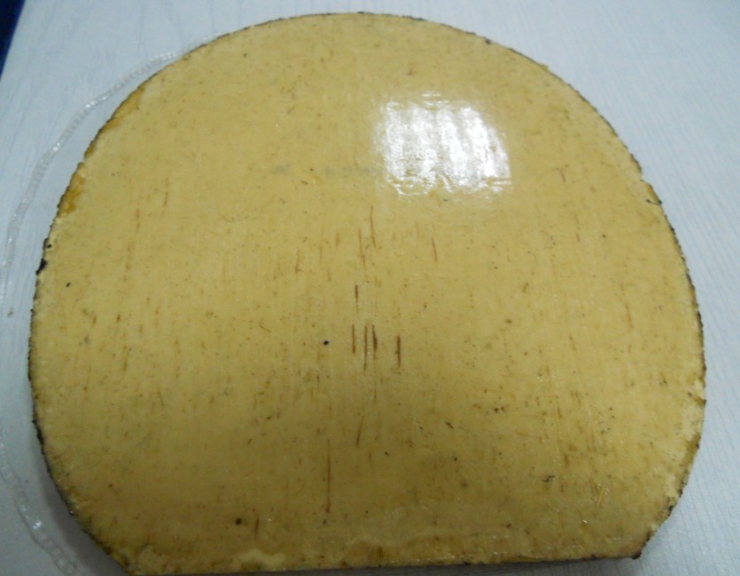 ������� roundell  ������ ZAP �������