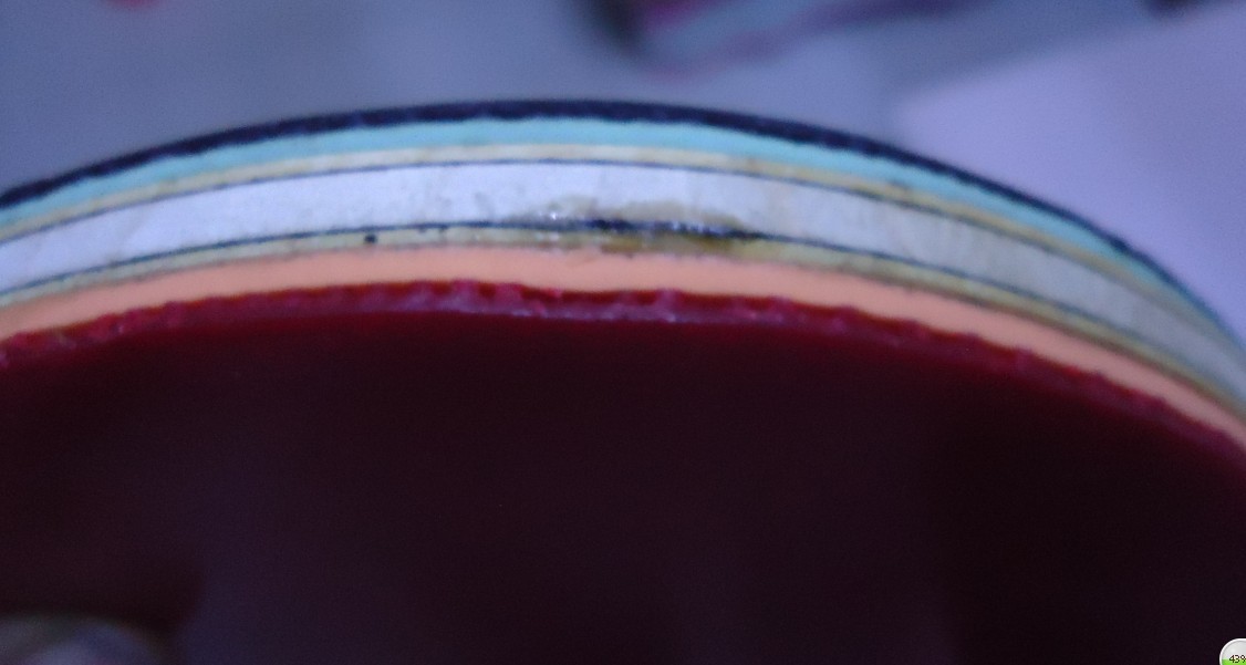 ����������������Ƥ