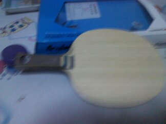 [ԭ����]VIS  FL,M��һ֧��750Ԫ���ʡ�