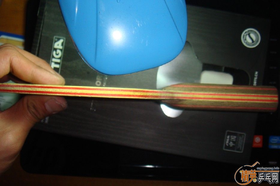 ��֧����������CL��ST��CL����ʢ���л�����AC(��ʢ���л�)������ Vega asian��ͦ��Aurus~~~~