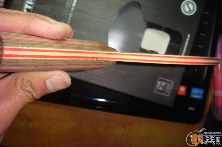 ��֧����������CL��ST��CL����ʢ���л�����AC(��ʢ���л�)������ Vega asian��ͦ��Aurus~~~~