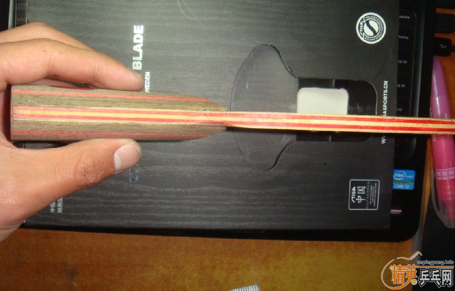 ��֧����������CL��ST��CL����ʢ���л�����AC(��ʢ���л�)������ Vega asian��ͦ��Aurus~~~~