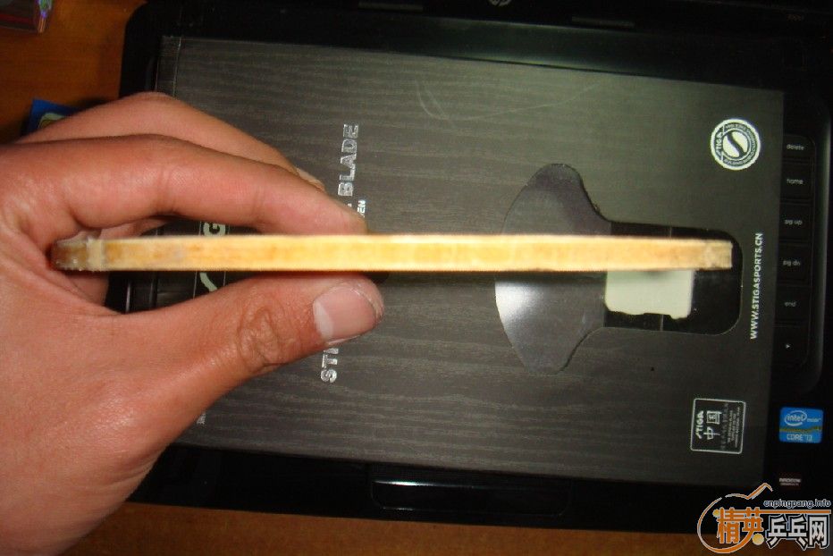 ��֧����������CL��ST��CL����ʢ���л�����AC(��ʢ���л�)������ Vega asian��ͦ��Aurus~~~~