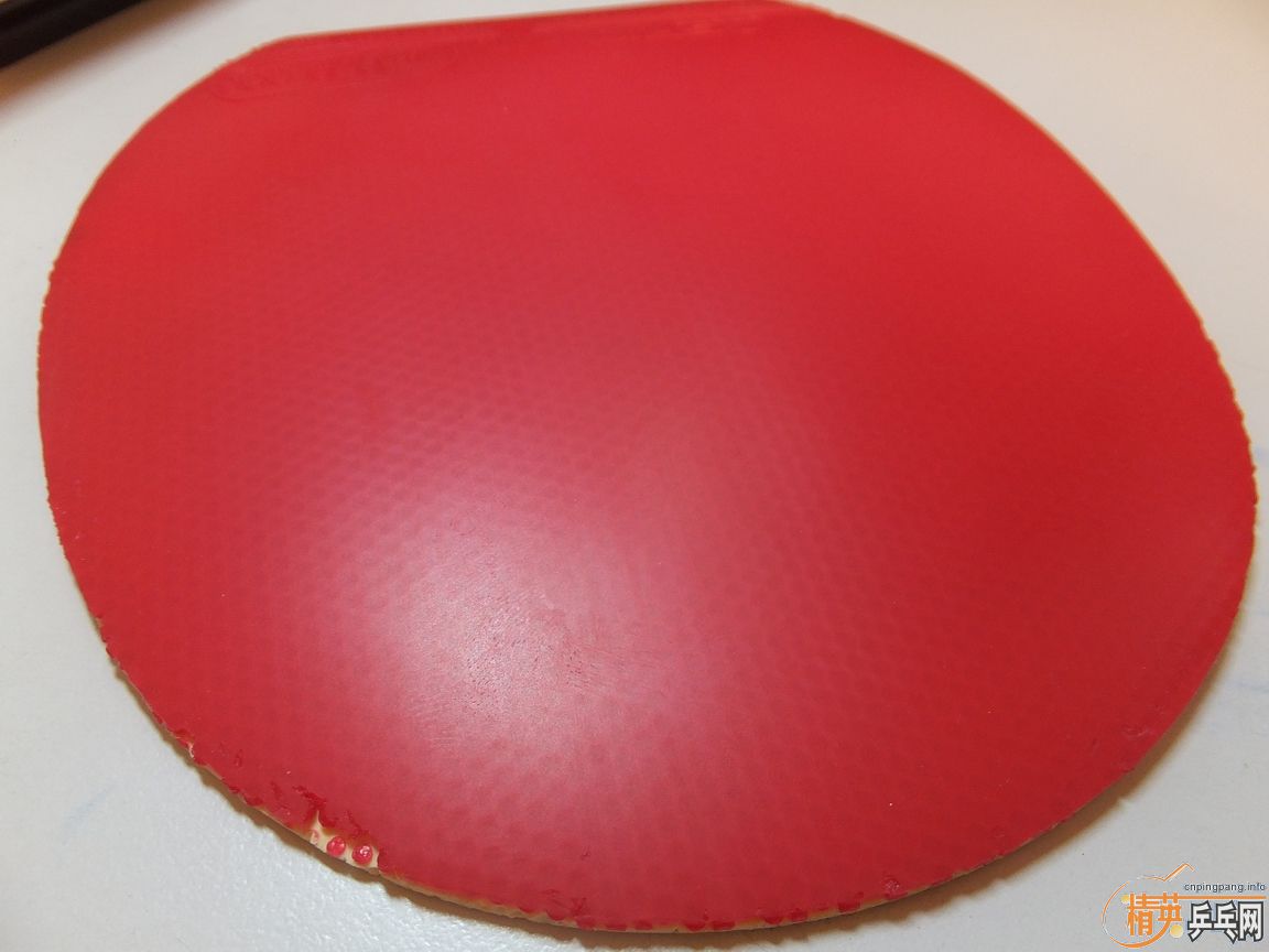 ŷ��yasaka yeo7 power FL��AN��calibra plus��agrit speed