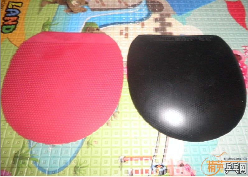 �����ۡ���ʤ���л�Stiga to