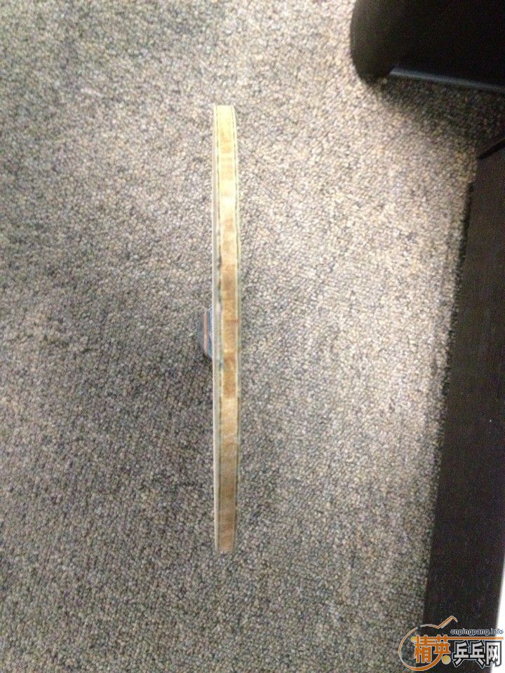 ���ѳ�һֻ��������620����