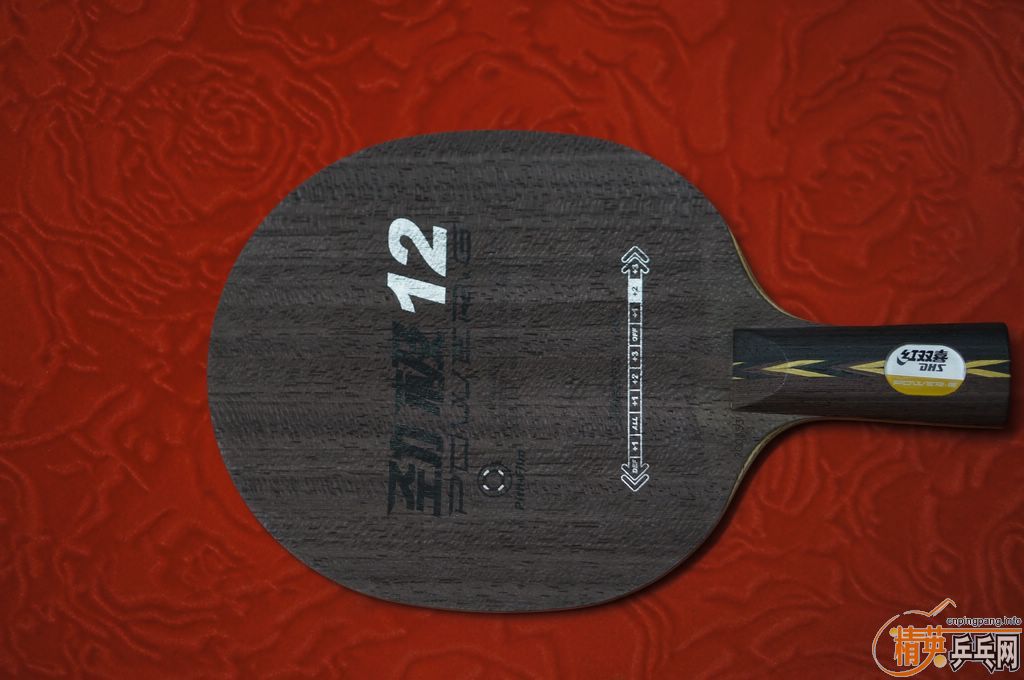 ����˫ϲDHS ����12