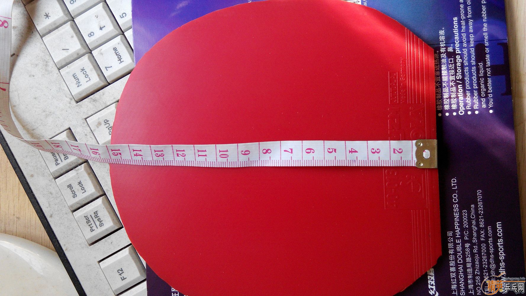 ������(��)���칭!֧����!