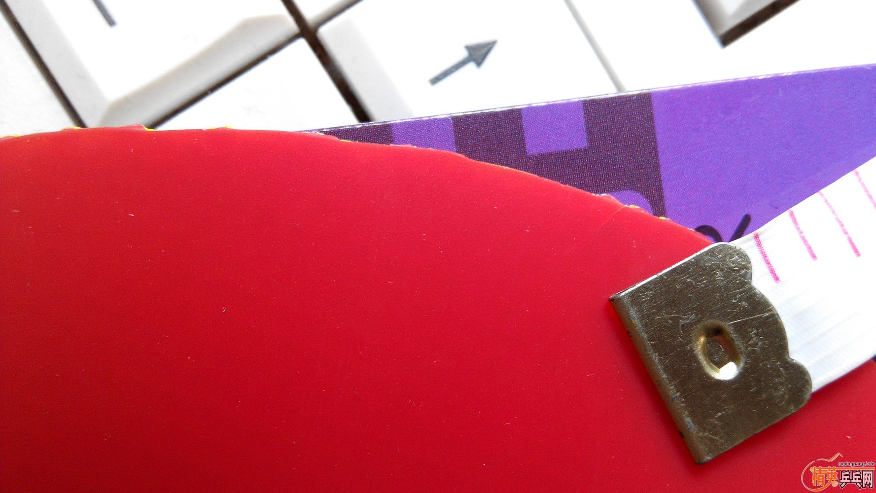 ������(��)���칭!֧����!