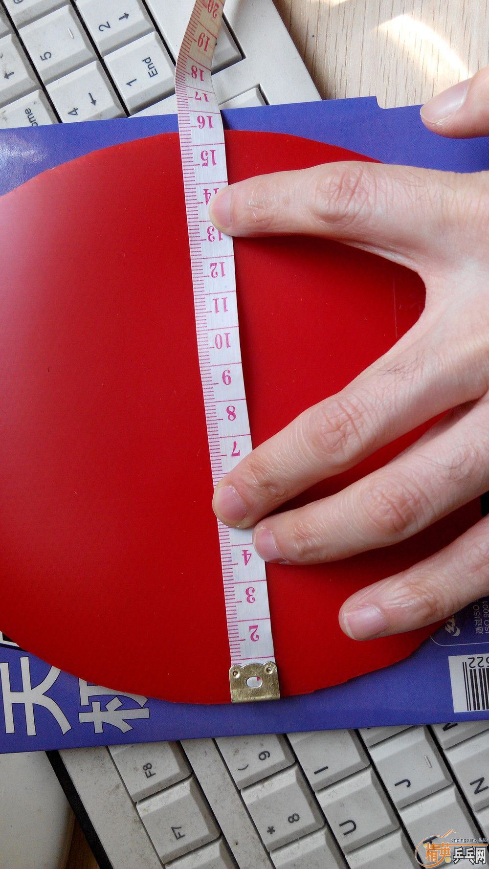 ������(��)���칭!֧����!