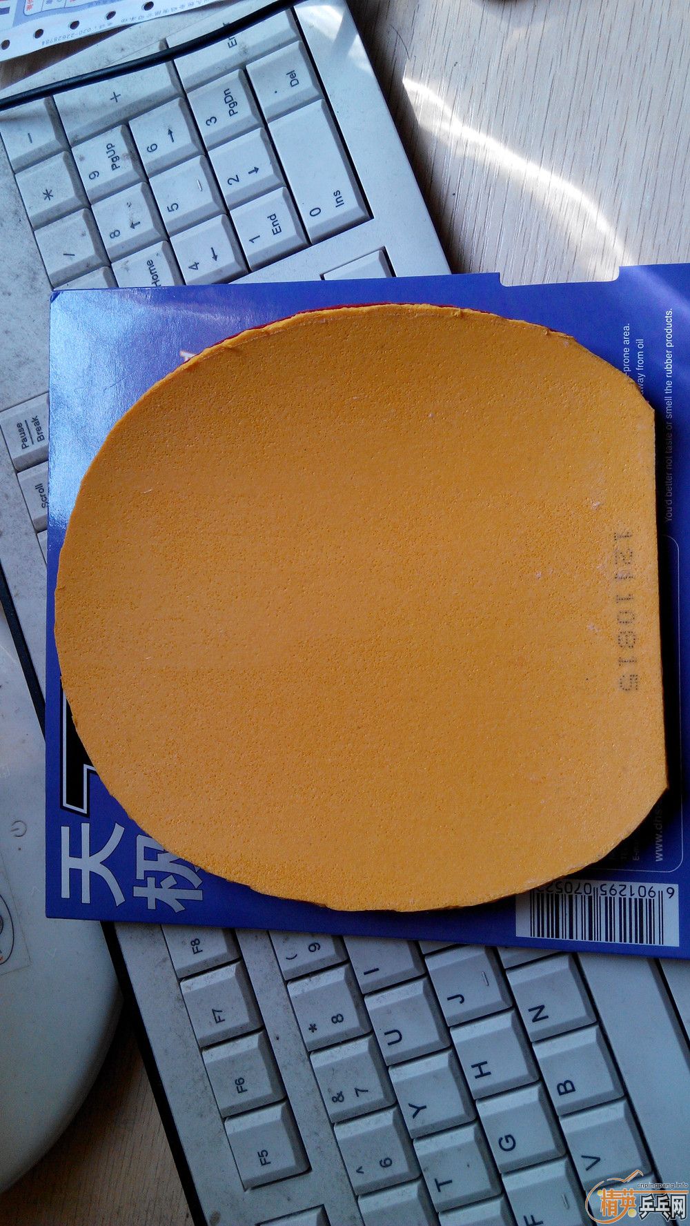 ������(��)���칭!֧����!