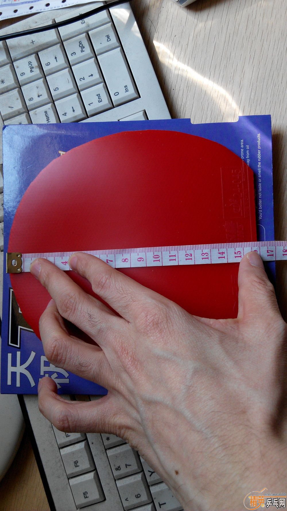 ������(��)���칭!֧����!