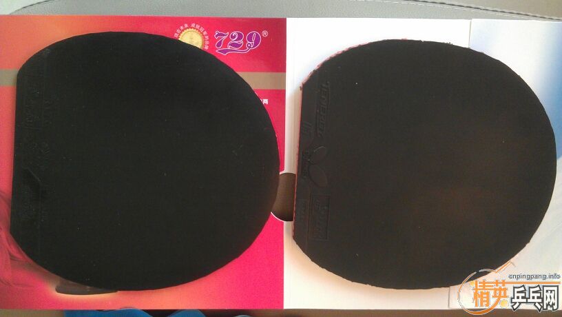 ��729-08ʡ��