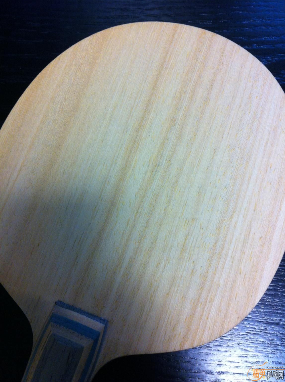 �������������ְ塱��H�� ���� vis��95�ˡ�