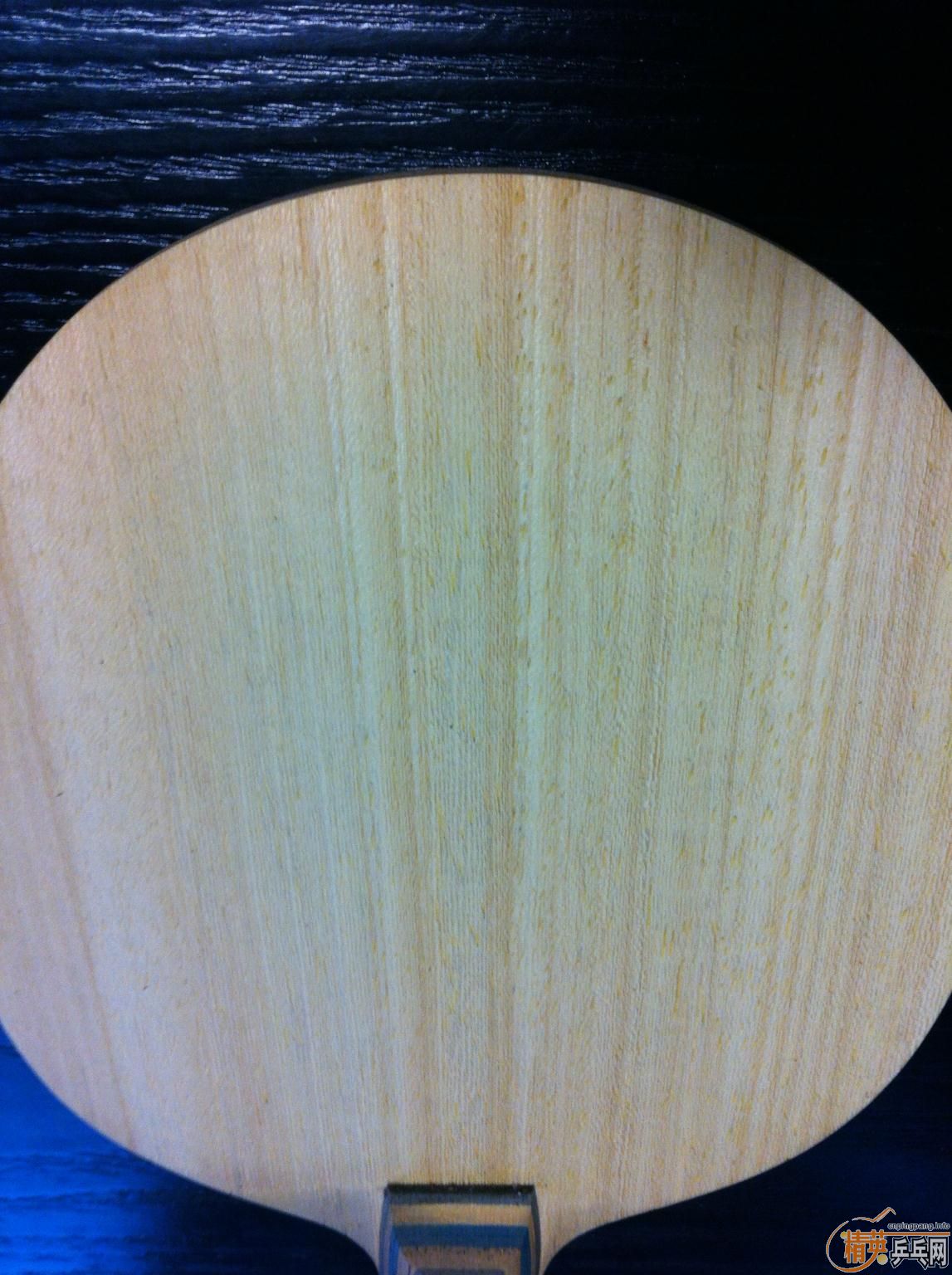 �������������ְ塱��H�� ���� vis��95�ˡ�