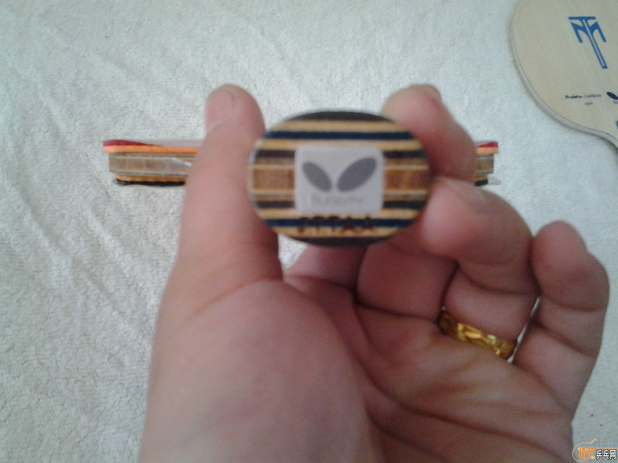 [ԭ��]�������� 99�� �򵽾���׬��