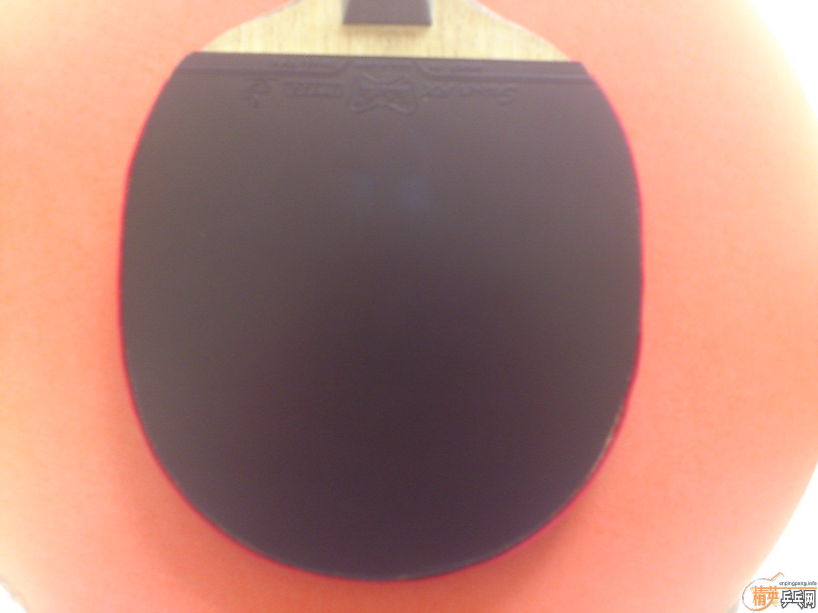 ��ɫsriver FX  120����