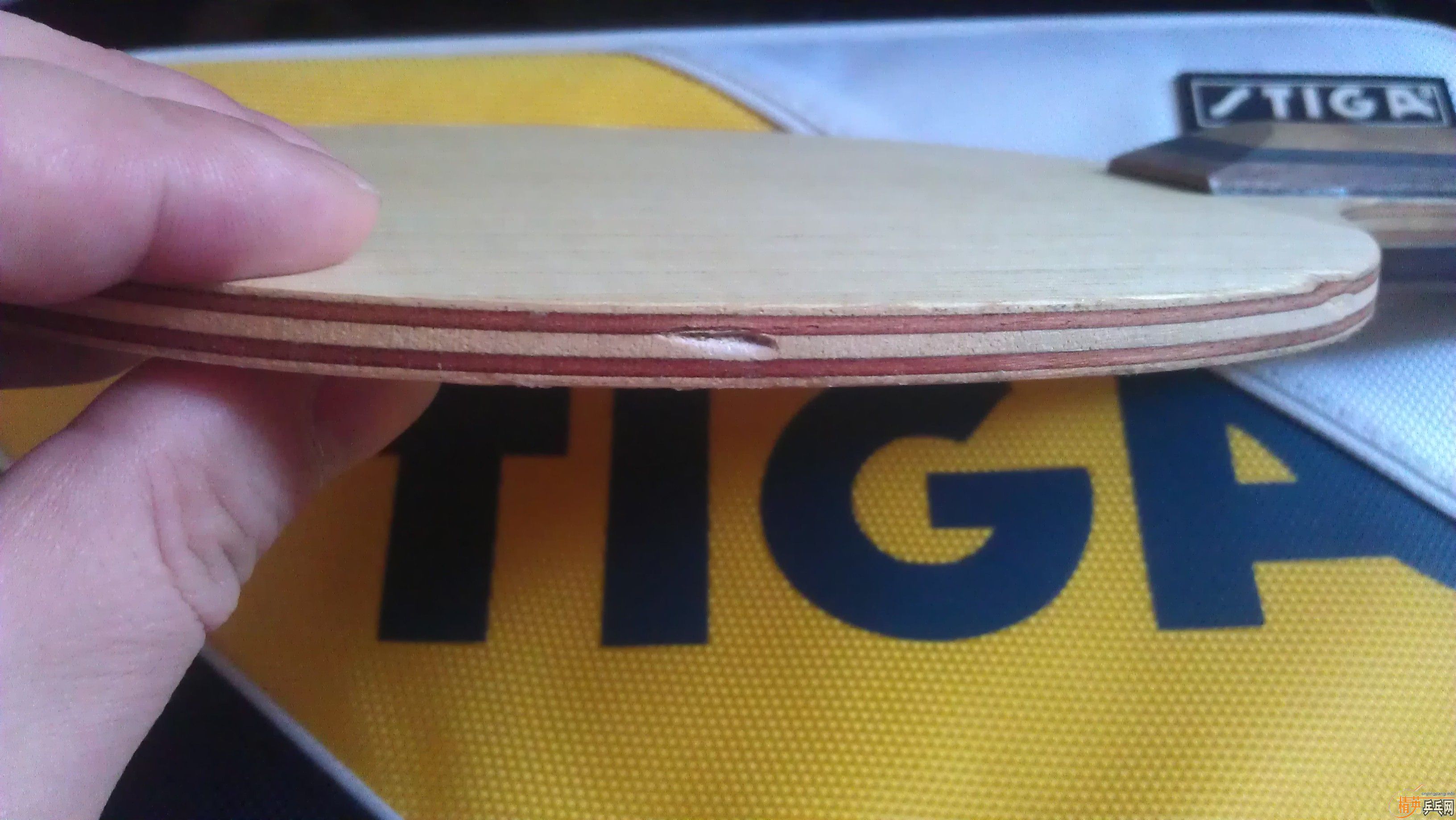 [��۳�ȫ��]NITTAKU���ִ���FLȫ��400������